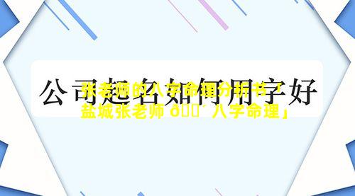 张老师的八字命理分析书「盐城张老师 🐴 八字命理」